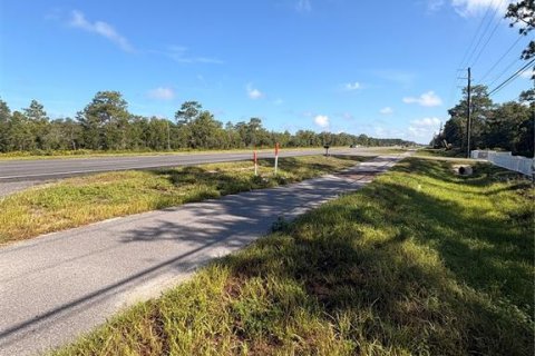 Terrain à vendre à Homosassa, Floride № 2229221 - photo 5