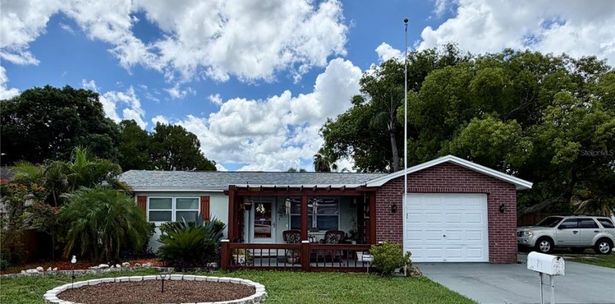Villa ou maison à Port Richey, Floride 3 chambres, 131.83 m2 № 2341851