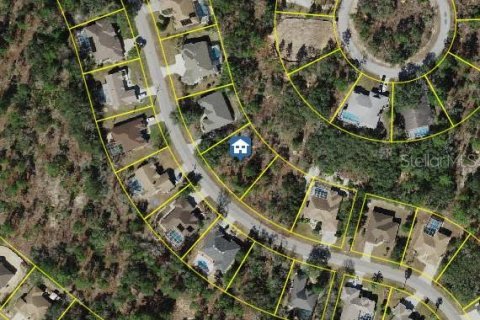Terrain à Homosassa, Floride № 2162311