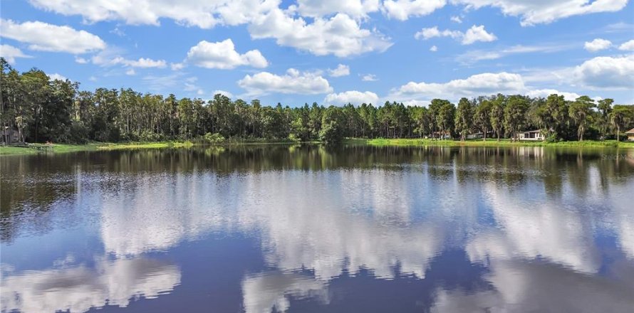 Terreno en Odessa, Florida № 1531616