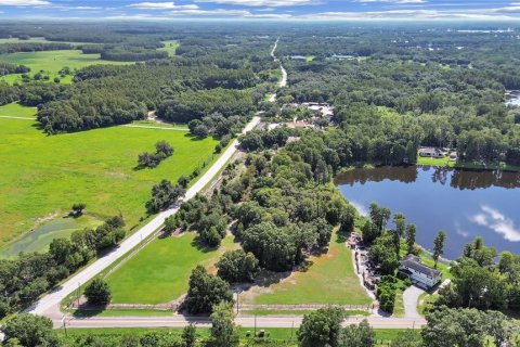 Terreno en venta en Odessa, Florida № 1531616 - foto 8