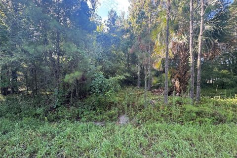 Земельный участок в Оклаваха, Флорида № 2224496