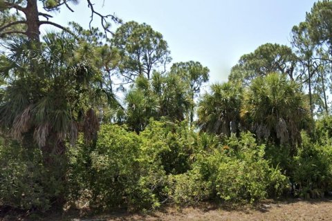 Terrain à Rotonda, Floride № 2163859