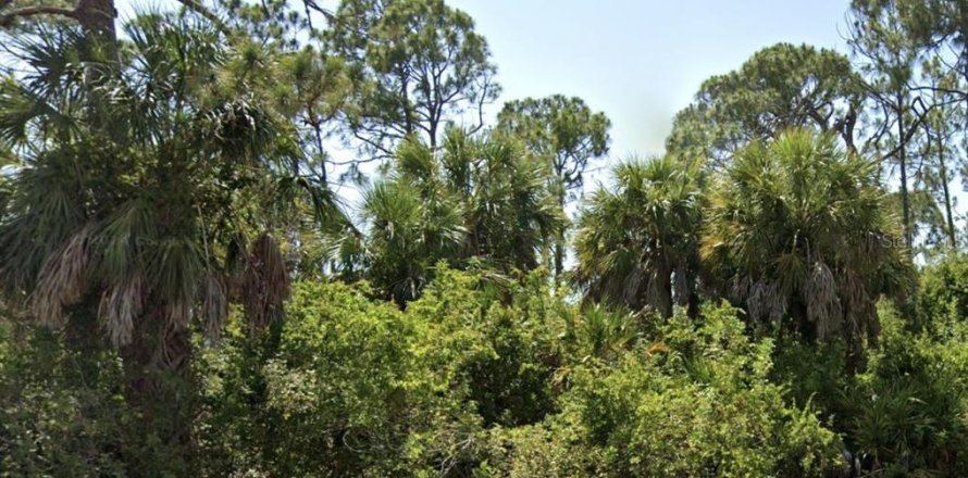 Terrain à Rotonda, Floride № 2163859
