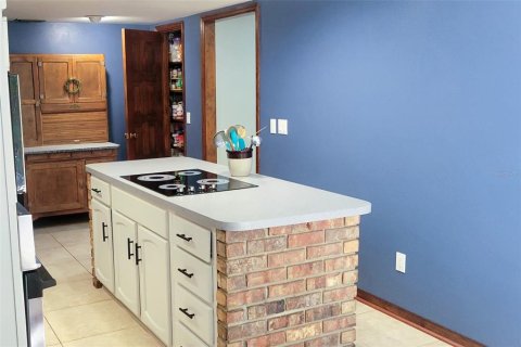 Casa en venta en Deltona, Florida, 4 dormitorios, 211.17 m2 № 1625442 - foto 8