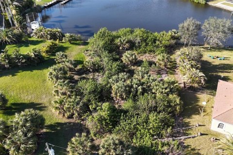 Terrain à vendre à Port Charlotte, Floride № 1529014 - photo 10