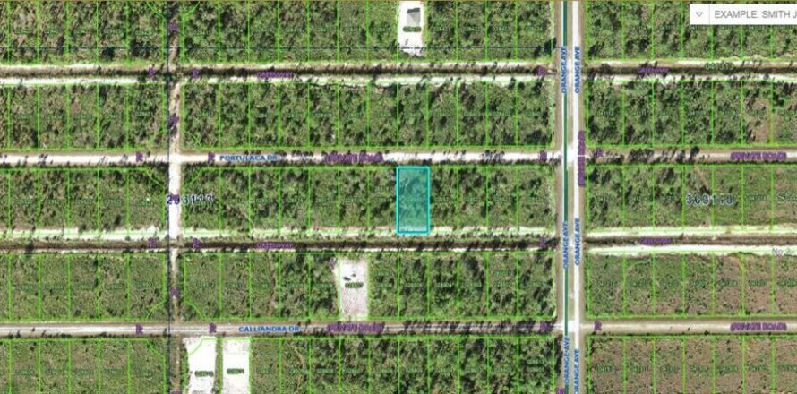Terreno en Indian lake estates, Florida № 1534098