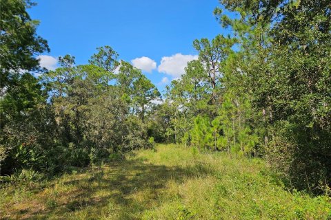 Land in Sebring, Florida № 2163551 - photo 3