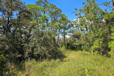 Land in Sebring, Florida № 2163551 - photo 8