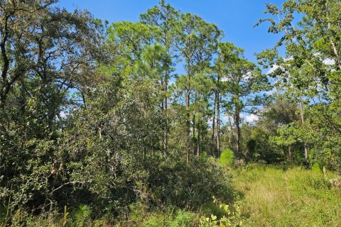 Land in Sebring, Florida № 2163551 - photo 2