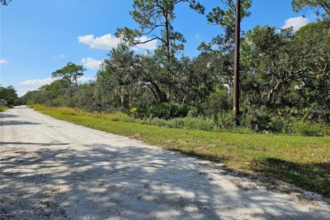 Land in Sebring, Florida № 2163551 - photo 5