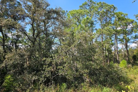 Land in Sebring, Florida № 2163551