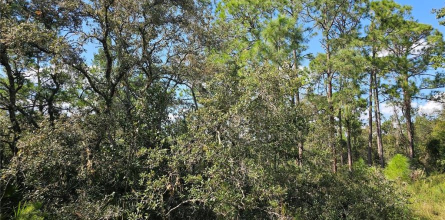 Land in Sebring, Florida № 2163551
