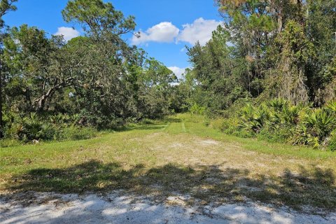 Land in Sebring, Florida № 2163551 - photo 4