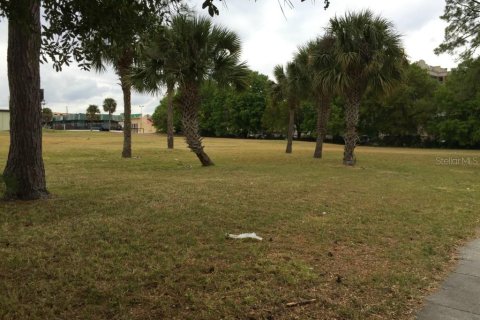 Land in Orlando, Florida № 229836 - photo 1