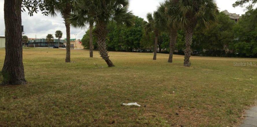 Land in Orlando, Florida № 229836