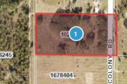 Land in Clermont, Florida № 1884335 - photo 12