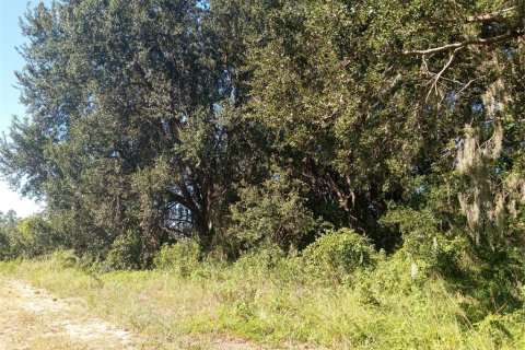 Land in Clermont, Florida № 1884335 - photo 9