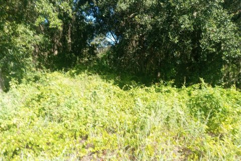 Land in Clermont, Florida № 1884335 - photo 8