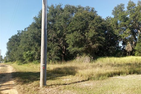 Land in Clermont, Florida № 1884335 - photo 1