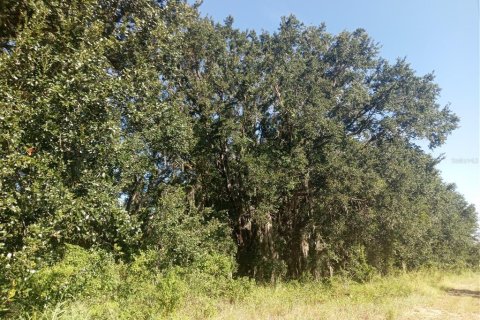 Land in Clermont, Florida № 1884335 - photo 4