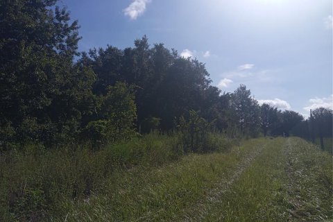 Land in Clermont, Florida № 1884335 - photo 5
