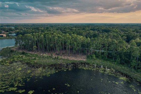 Купить земельный участок в Лейк-Мэри, Флорида № 531703 - фото 14