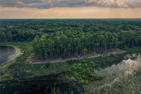 Купить земельный участок в Лейк-Мэри, Флорида № 531703 - фото 17