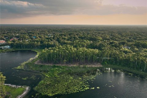 Купить земельный участок в Лейк-Мэри, Флорида № 531703 - фото 23