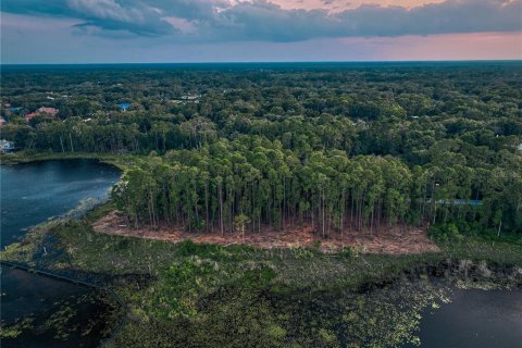 Купить земельный участок в Лейк-Мэри, Флорида № 531703 - фото 4