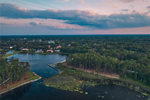 Купить земельный участок в Лейк-Мэри, Флорида № 531703 - фото 19