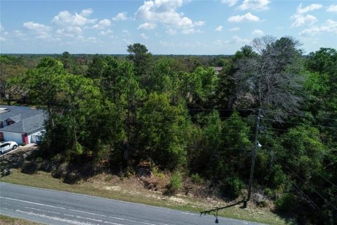 Land in Spring Hill, Florida № 2163796 - photo 2