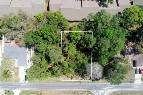 Land in Spring Hill, Florida № 2163796