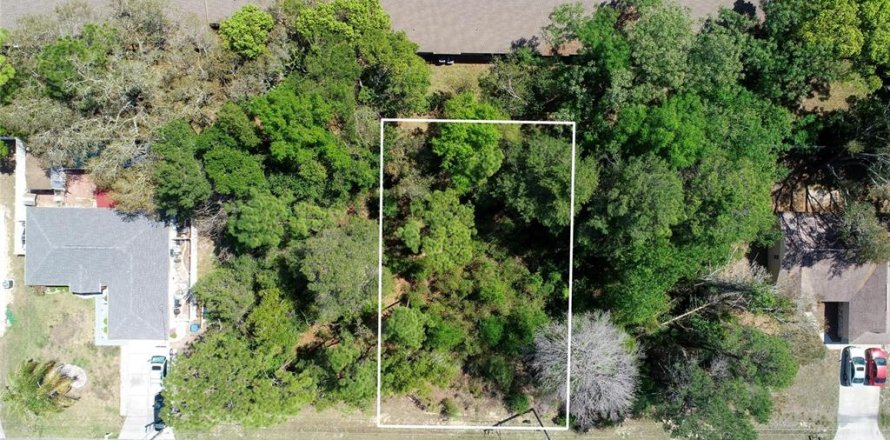 Land in Spring Hill, Florida № 2163796