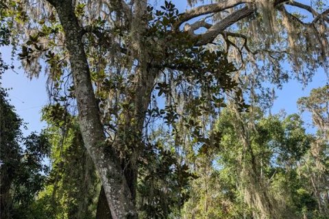 Land in Hernando, Florida № 2207910 - photo 3