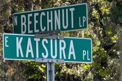 Land in Hernando, Florida № 2207910 - photo 4