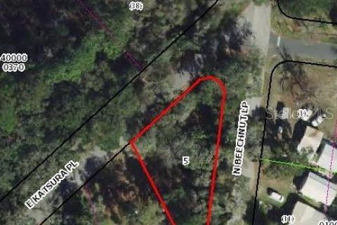 Land in Hernando, Florida № 2207910 - photo 5