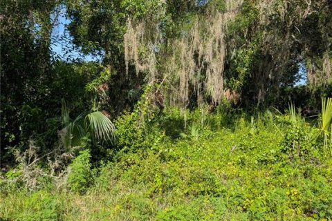 Land in Hernando, Florida № 2207910 - photo 2