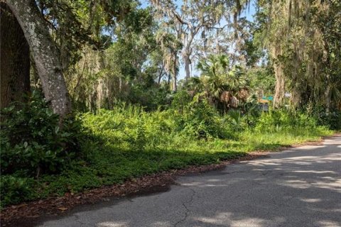 Terrain à Hernando, Floride № 2207910
