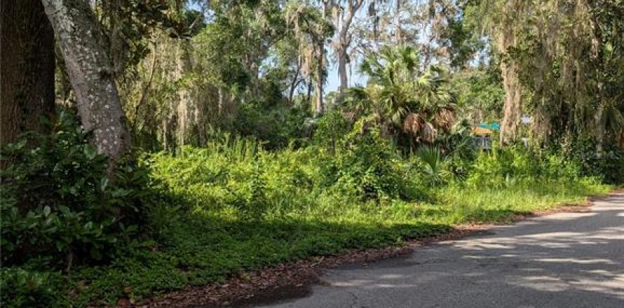 Land in Hernando, Florida № 2207910
