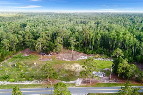 Land in Polk City, Florida № 1786736 - photo 7
