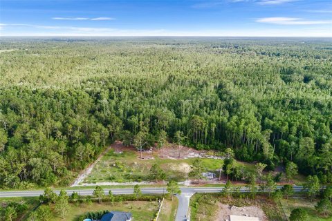 Land in Polk City, Florida № 1786736 - photo 2