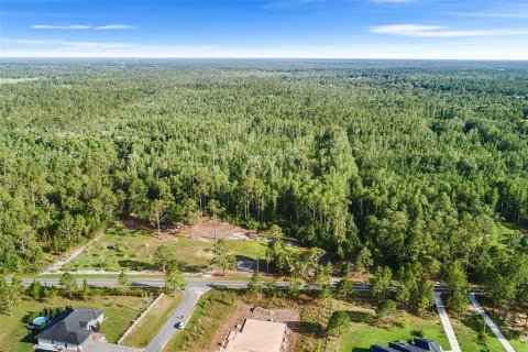 Land in Polk City, Florida № 1786736 - photo 4