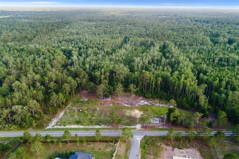 Land in Polk City, Florida № 1786736 - photo 9