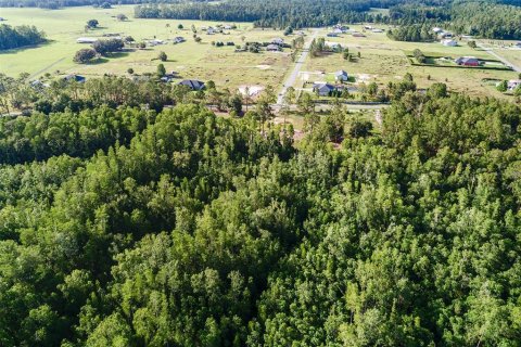 Land in Polk City, Florida № 1786736 - photo 6