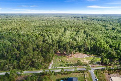 Land in Polk City, Florida № 1786736 - photo 3