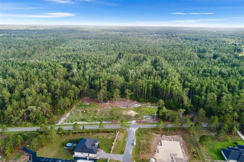 Land in Polk City, Florida № 1786736 - photo 10