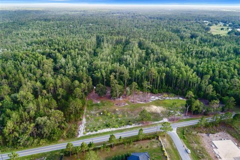 Land in Polk City, Florida № 1786736 - photo 8