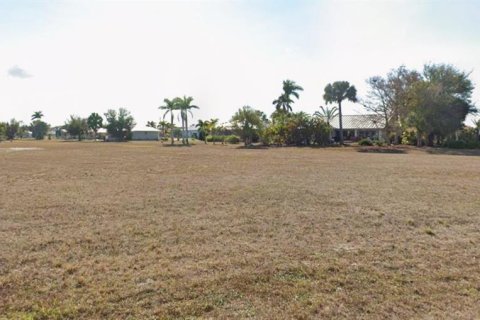 Land in Punta Gorda, Florida № 2296202