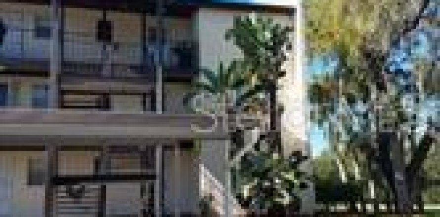 Condo in New Port Richey, Florida, 1 bedroom № 2222164